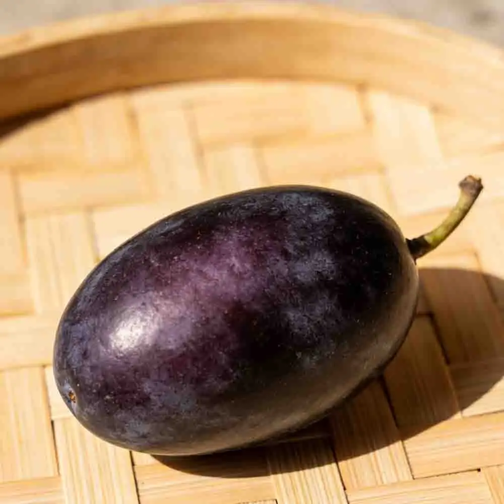 

SpeedyBee TX ULTRA TX1600 5.8GHz 48CH 1.6W FPV VTX High-efficiency Heat Sink 2-6S LIPO 20X20mm for FPV Long Range Drones RC