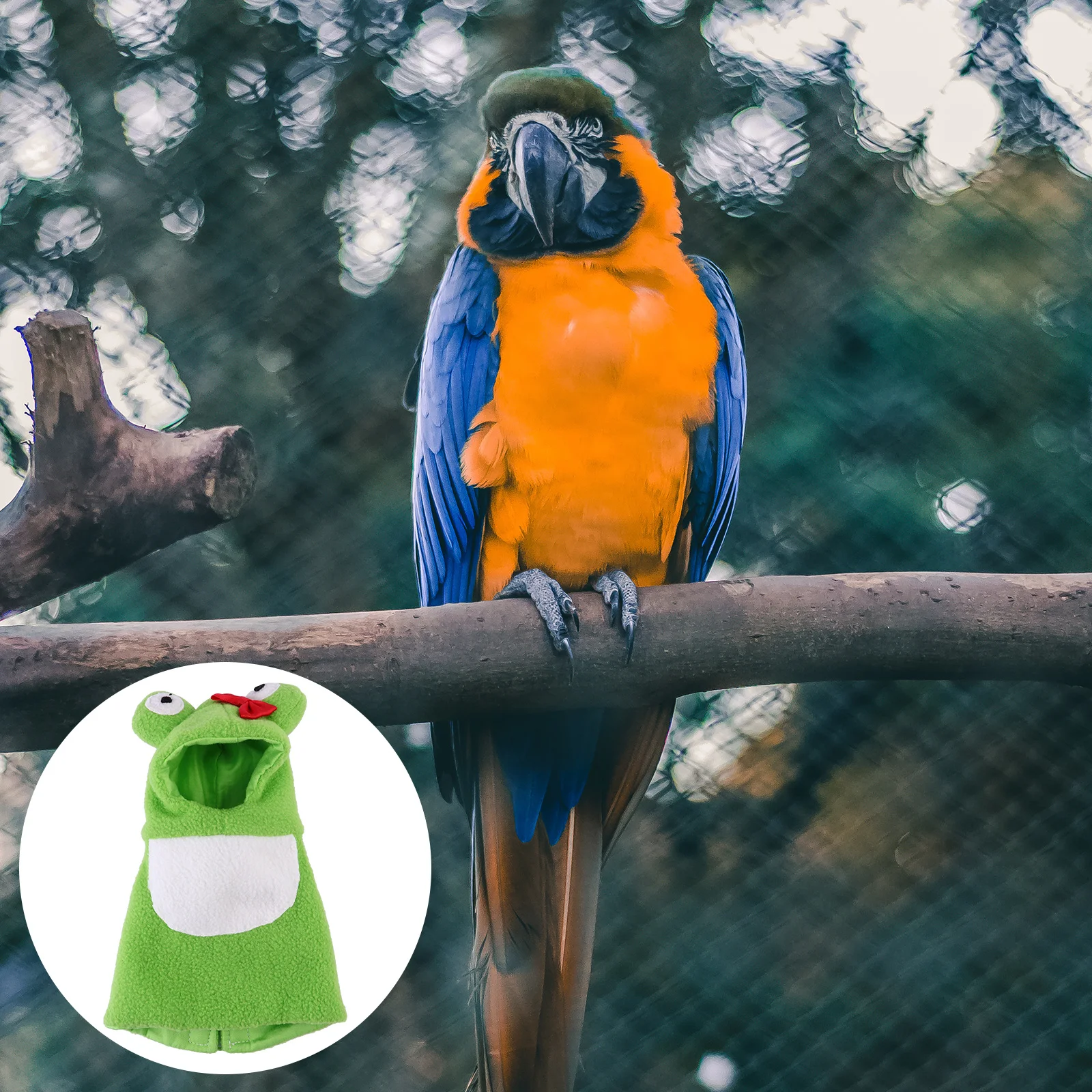 

Small Bird Costume Parrot Hoodie Pet Clothes Made of Lightweight Non Irritating Material for Daily Wear Festival Size L
