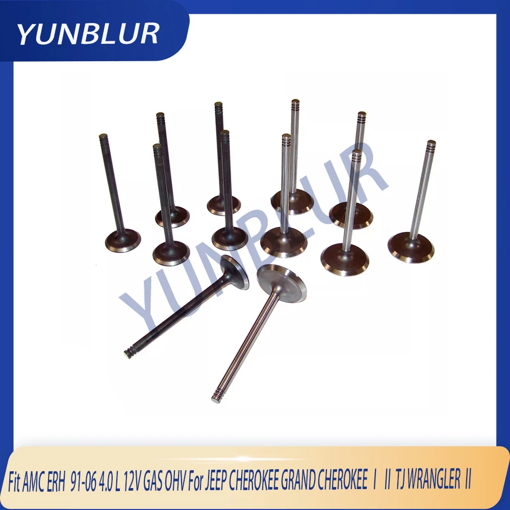 

AMC ERH 12pcs Intake & Exhaust Valve Kit Fit 91-06 4.0 L 12V GAS OHV For JEEP CHEROKEE GRAND CHEROKEE Ⅰ Ⅱ TJ WRANGLER Ⅱ Engine