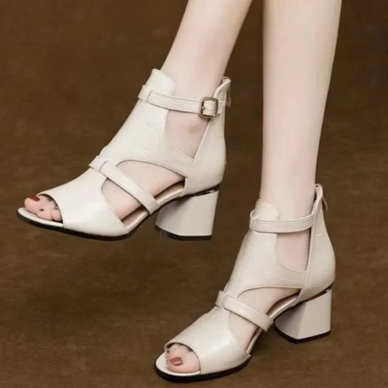 Women Sandals Chunky High Heels Peep Toe Hollow Out Roman Style Sandals Buckle Back Zipper Versatile Summer 2024