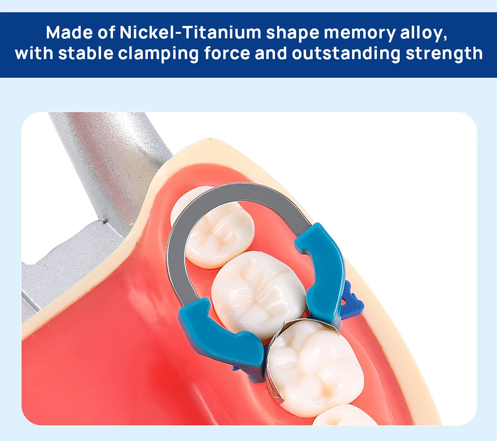 3-teiliges AZDENT Dental-Sektionsmatrizesystem, Matrizen, Clip-Ring, konturierte Matrizenbänder, Titan-Klemmring, universell schmal, tief – Detail 8