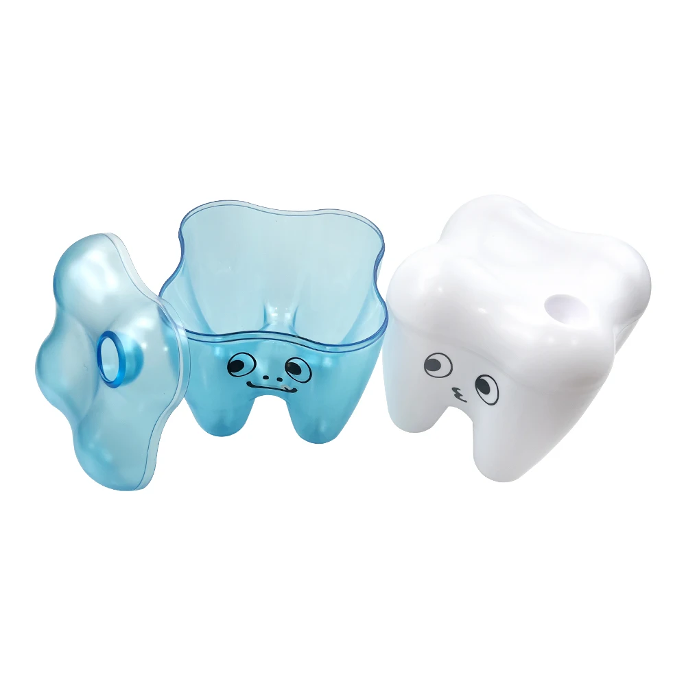 1pcs Cute Tooth Shape Dental Desktop Storage Box Transparent Organizer keychain Holder Dentist Gifts Clinic Dentistry Accessorie