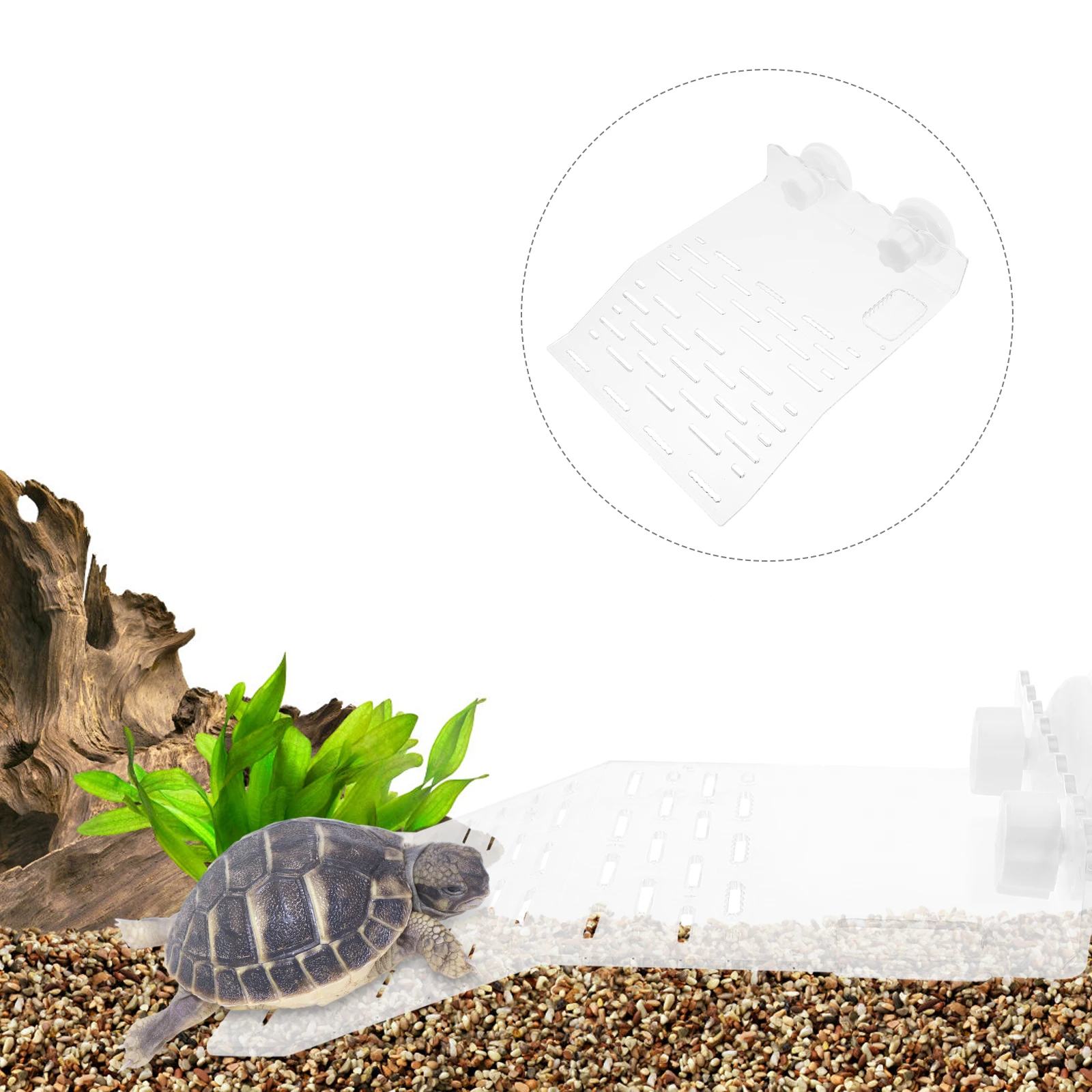 

Turtle Basking Platform Reptile Climbing Terrace ABS Plastic Fish Tank Accessory Durable Smooth Suction Cup Installation Gift