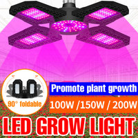 LED E27/E26 Plant Grow Light Bulb Flower Seed Hydroponics Greenhouse Tent Vegetables Cultivation Lamp 40W 60W 80W 100W 150W 200W