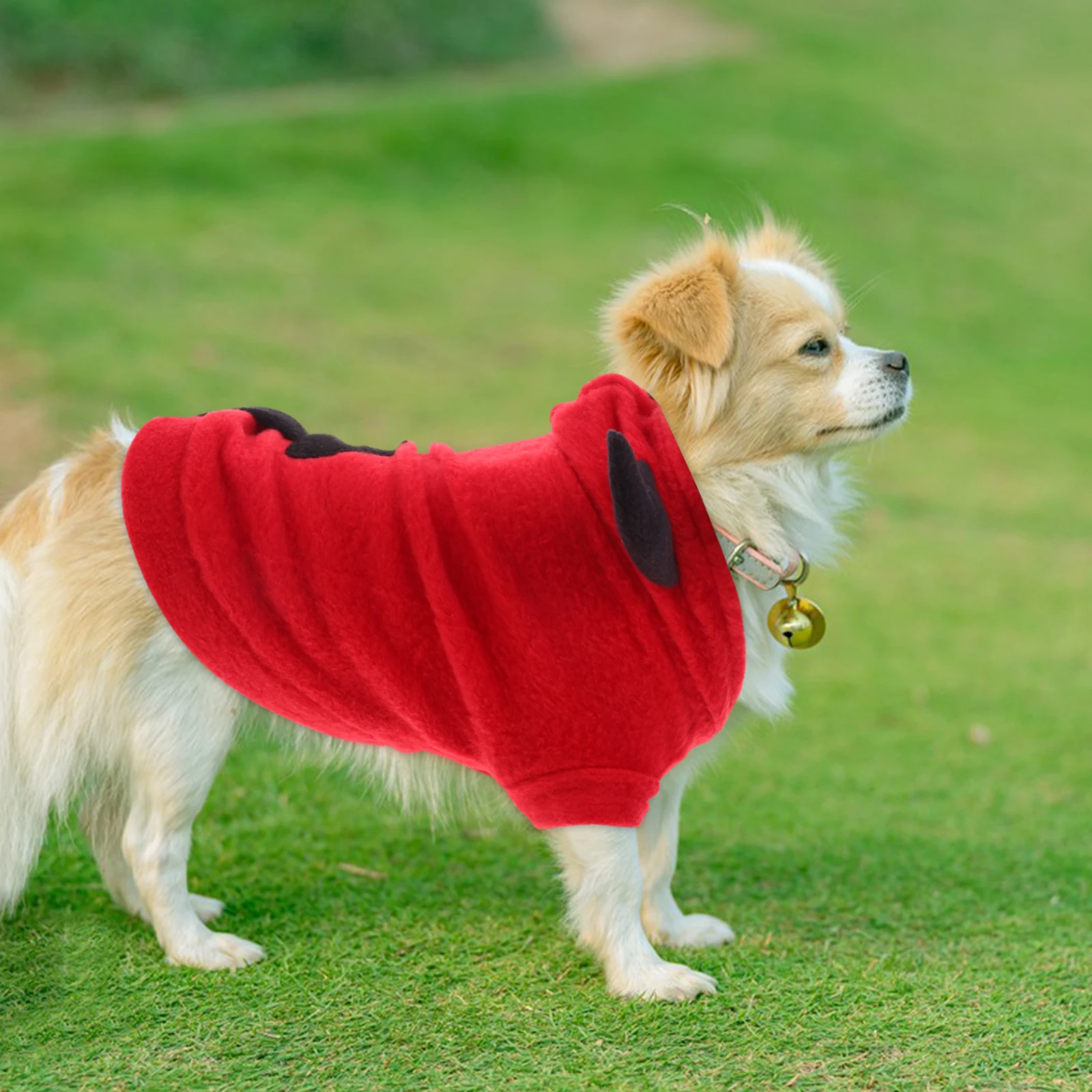

Pet Devil Transformation Costume Dog Clothes Three-Dimensional Warm Coat for Puppy Outdoor Activity Photo Dog Clothes