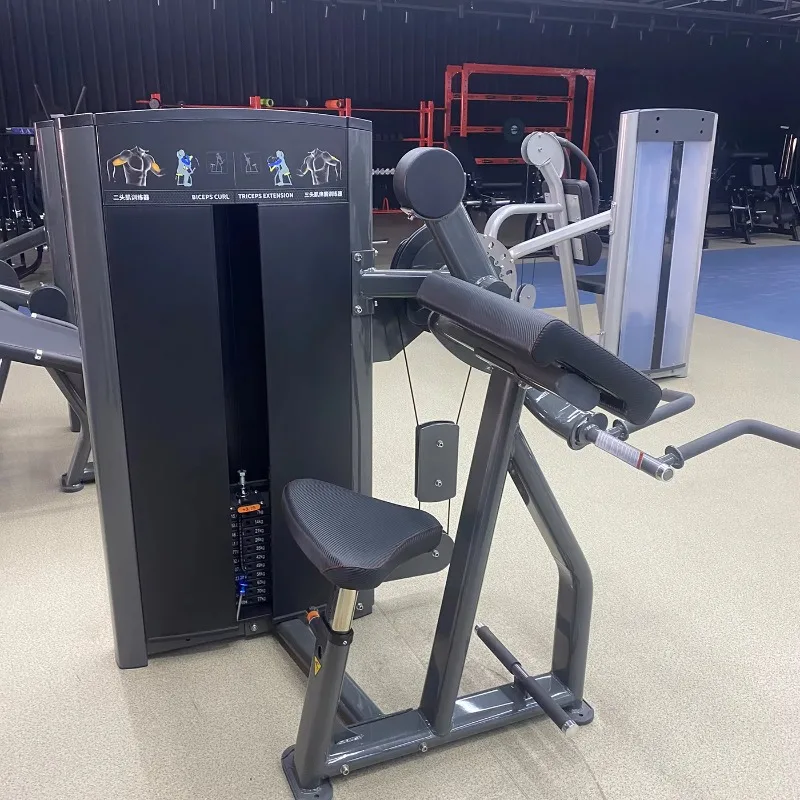 

Commercial & Home Multi-Functional Back Training Machine - Pin-Loaded Biceps & Triceps Gear, Arm Muscle Building & Body Fitness