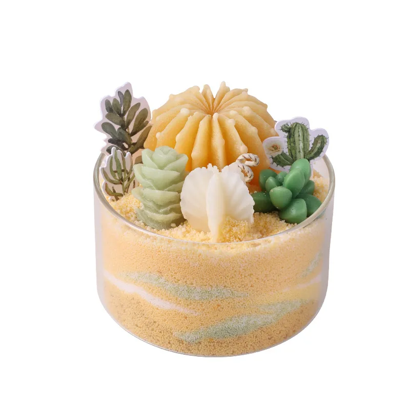 

Scented Candles DIY Succulent Plant Cactus Sand Painting Candles Handmade Indoor Wedding Gift for Girlfriend