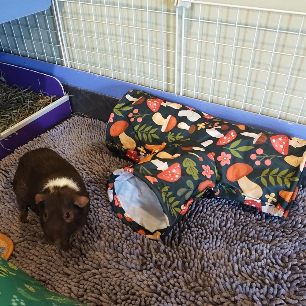 Meerschweinchen-Tunnel 3-Wege Waschbarer Unterschlupf Faltbarer Kaninchen-Tunnel Meerschweinchen-Spielzeug für Hasen Hamster Frettchen Meerschweinchen-Zubehör – Detail 13