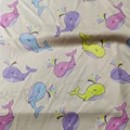 Colorful Whale