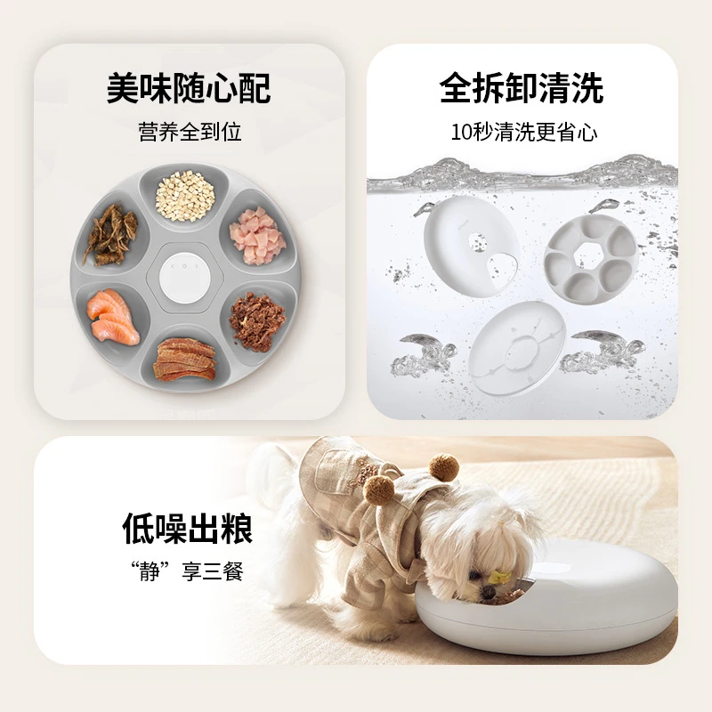 Alimentatore automatico per animali domestici WIFI a 6 pasti, macchina per l'alimentazione remota per gatti con APP mobile per la conservazione della freschezza e anti-carta