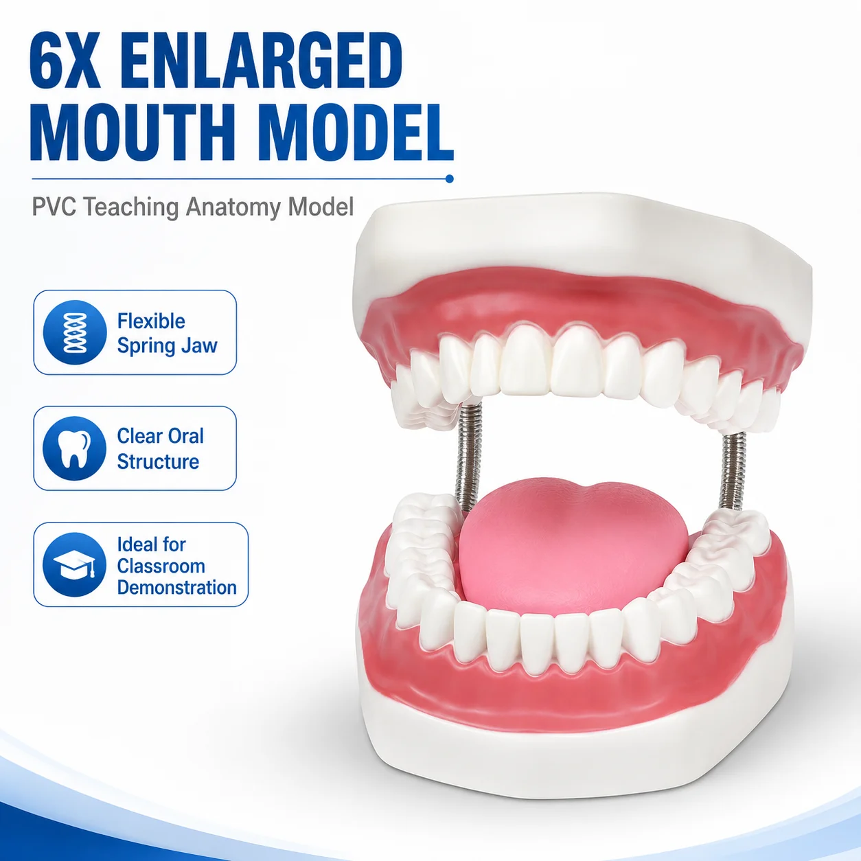 6x-enlarged-mouth-and-teeth-teaching-model-with-flexible-spring-jaw-for-oral-hygiene-classroom-demonstration