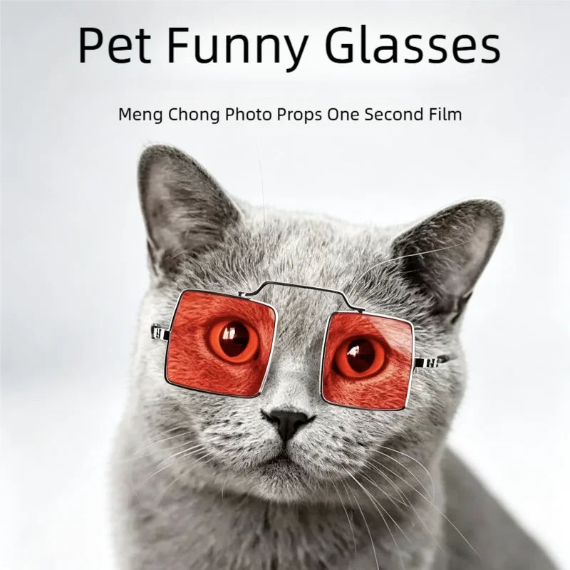 Fashion Pet Glasses Cat Sunglasses - Dog Photo Props Eyewear for Animals Cute Party Decor Accessory Cat Eye-Wear Pet Accessories