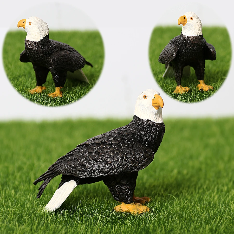 Realistic Wildlife Animal Birds of Prey Vulture Golden Eagle Bald Eagle Secretary Bird Models Figures Educational Collection Toy