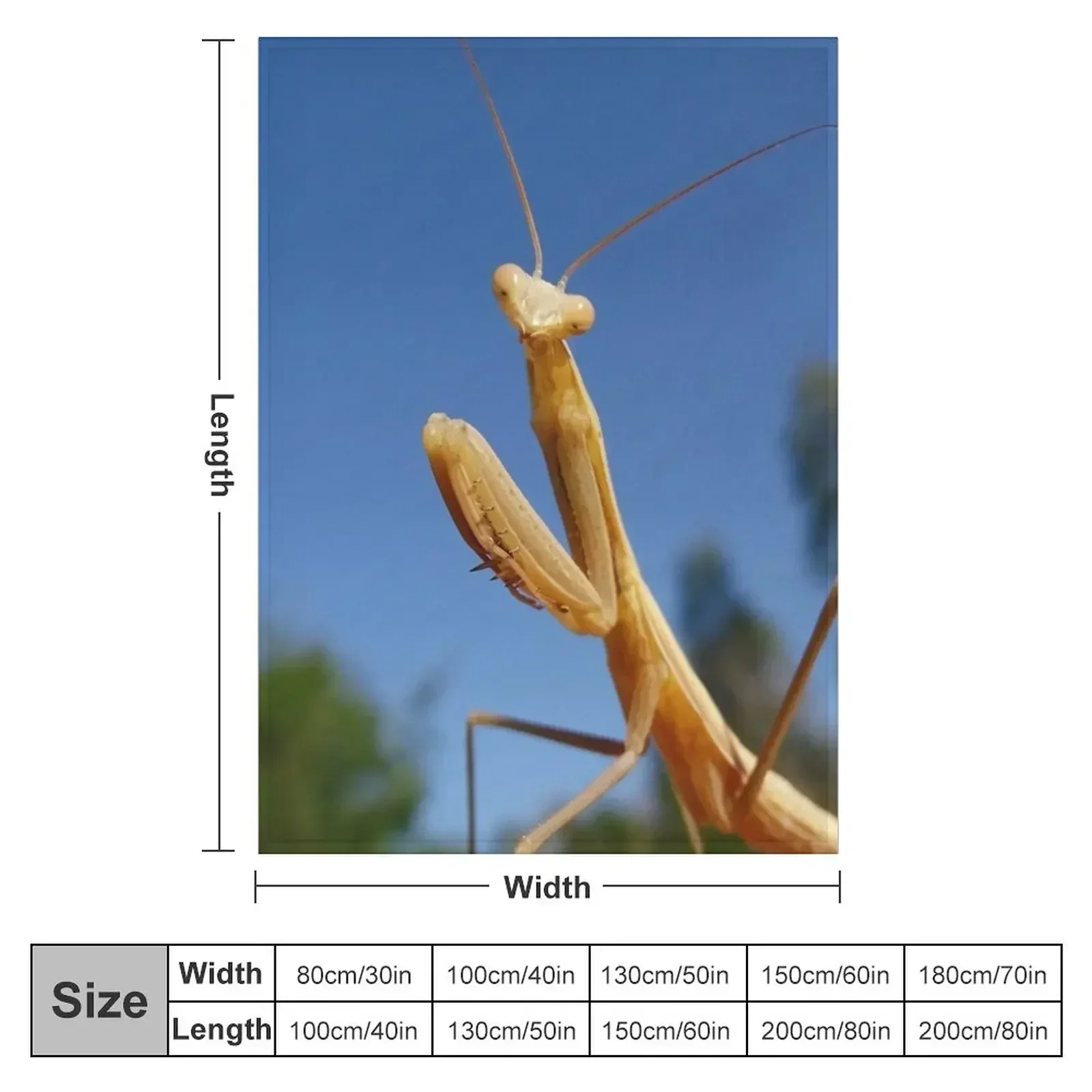 Praying mantis Throw Blanket christmas gifts for sofa heavy to sleep Bed covers Blankets