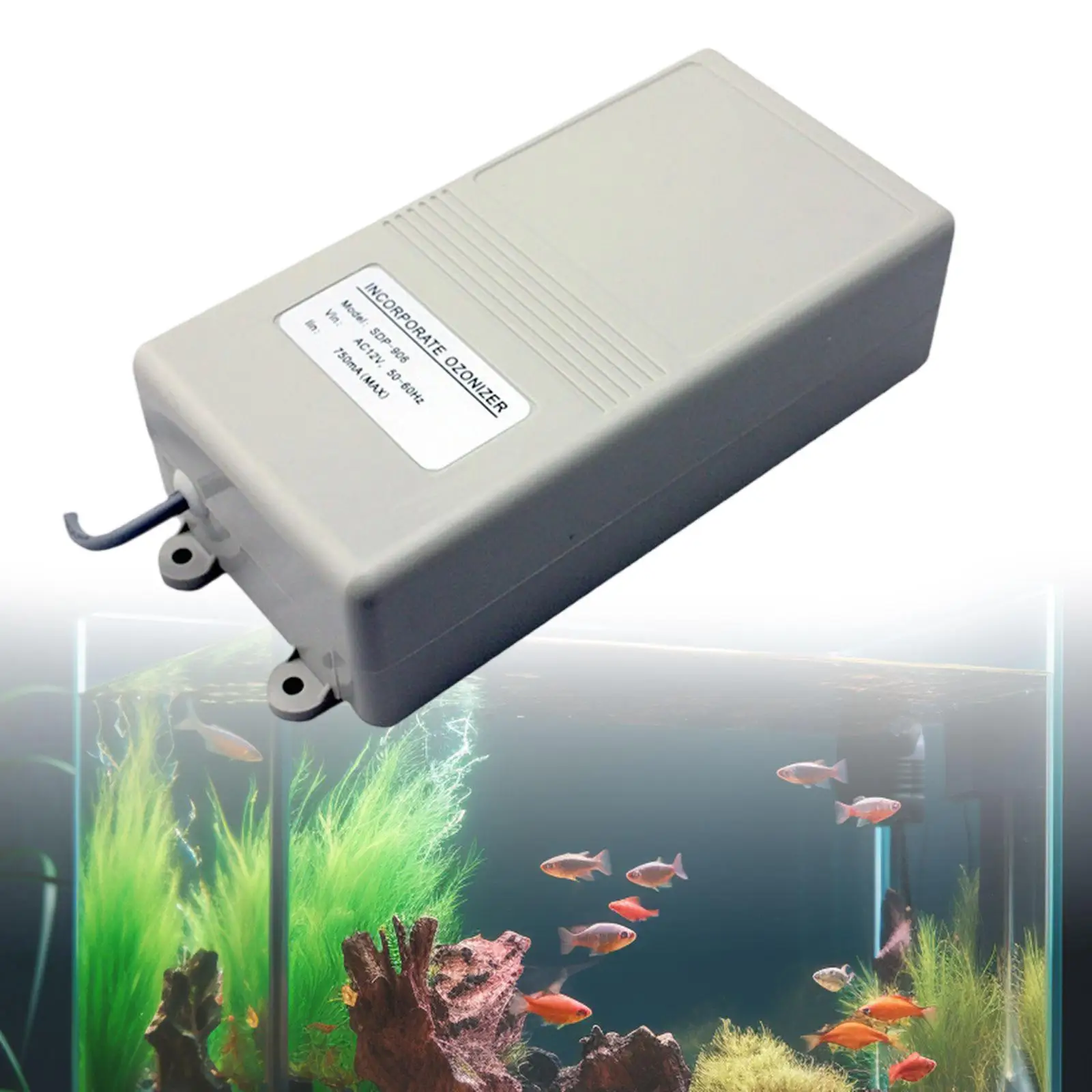 منقي هواء مولد الأوزون لإزالة الأوزون لأحواض السباحة الساخنة الباردة #1