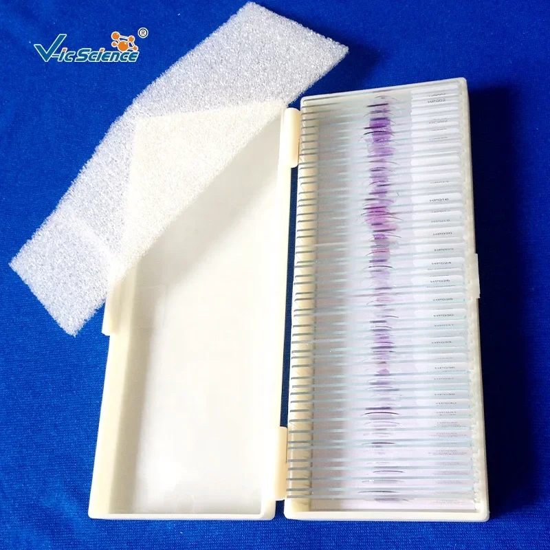 50pcs Pathology slides set medical science human pathology microscope prepared slides specimen