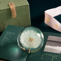 7-9cm Elegant Decoration Dandelions Crystal Ball Music box crystal ball birthday gift Resin Materials Gift Dandelions
