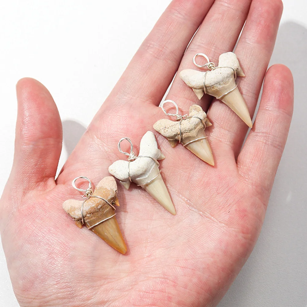 2 Pcs Mens Necklace Shark Tooth Pendant Male Ocean for Boys Cool Chain Teeth Decor Man