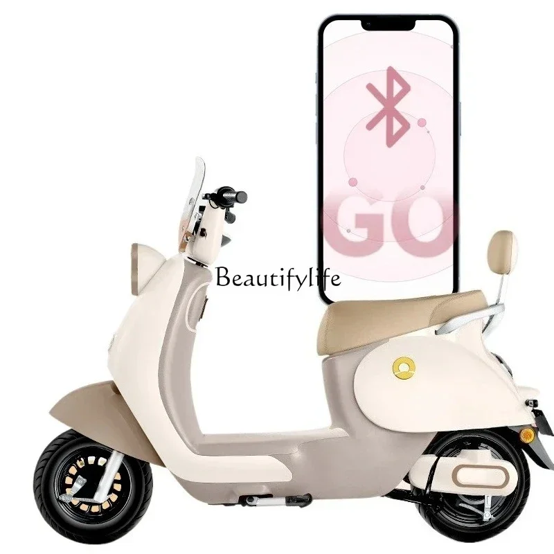 

Intelligent long-endurance electric vehicle, male and female battery car, high-power electric motorcycle