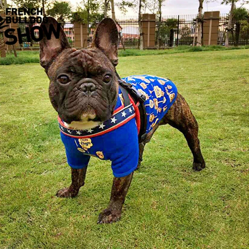 French Bulldog Clothes, Spanish Lollipop Pet T-Shirt for Chubby Dogs, Fat Dog Clothes, English Bulldog Costume (A3231)