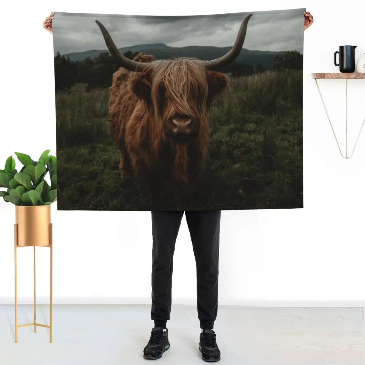 

Scottish highland cow Throw Blanket Compact Warm Blanket for Car Road Trip