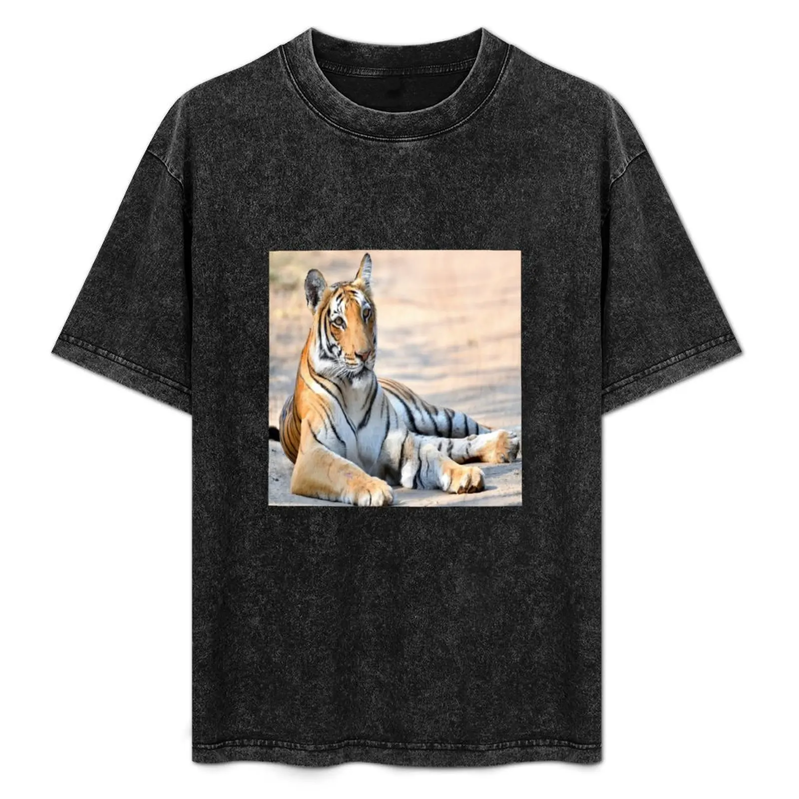 

Sweet Tiger T-Shirt Big and Tall Crew Neck Tee