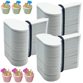 50 peças etiquetas de plantas de jardim marcador 50*70mm classificação colorida classificação bonsai sinal tag bilhete placa de escrita de plástico cartão