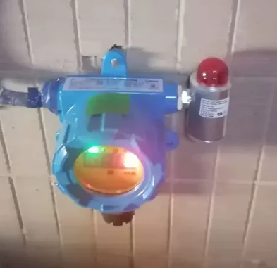 Fixed LEL Gas Detector (Model: BH60) - 24/7 Combustible Gas Leak Monitoring for Industrial & Commercial Spaces