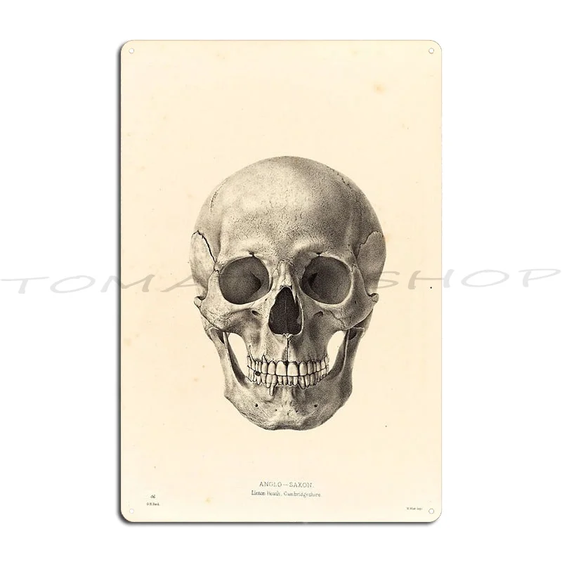 Shuttering 3d Human Model Skull Skeleton Metal Plaque Poster Kitchen Wall Decor Pub Painting Personalized  Tin Sign Poster