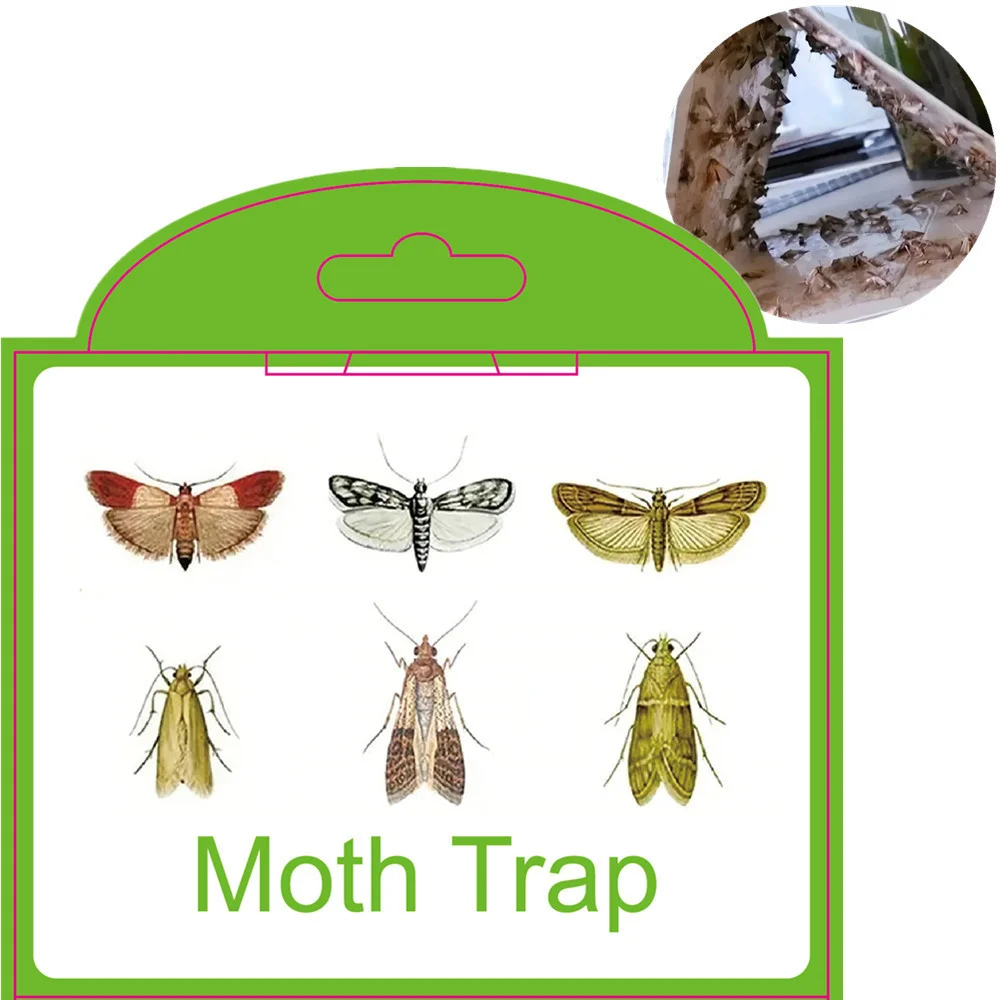 6PCS Silentking Sticker Pheromone Moths Trap Pantry Clothes Kitchen Food Home Garden Pest Control Moth Traps