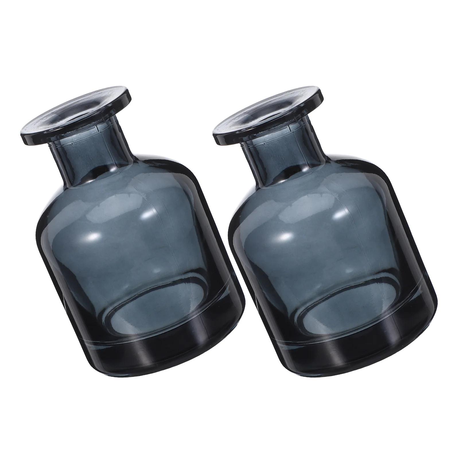 

2Pcs Glass Aromatherapy Reed Diffuser Bottles 150Ml Refillable Empty Fragrance Container Decorative Oil Dispenser Home Essential