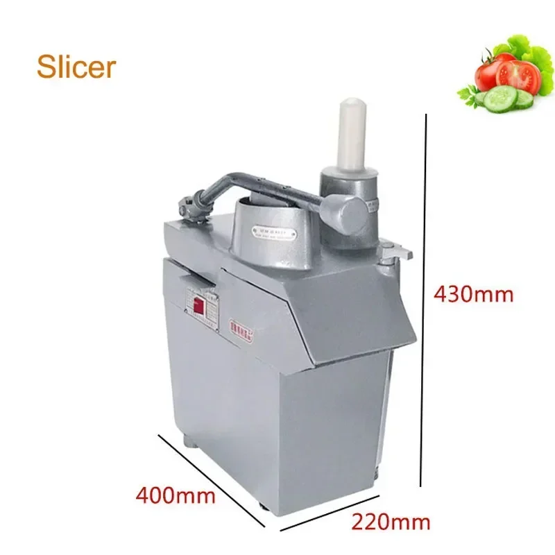 TR-21 Melon Fruit Vegetable Slicer Commercial Stainless Steel Desktop Slicer Multifunctional Potato Slicing Shredding Machine