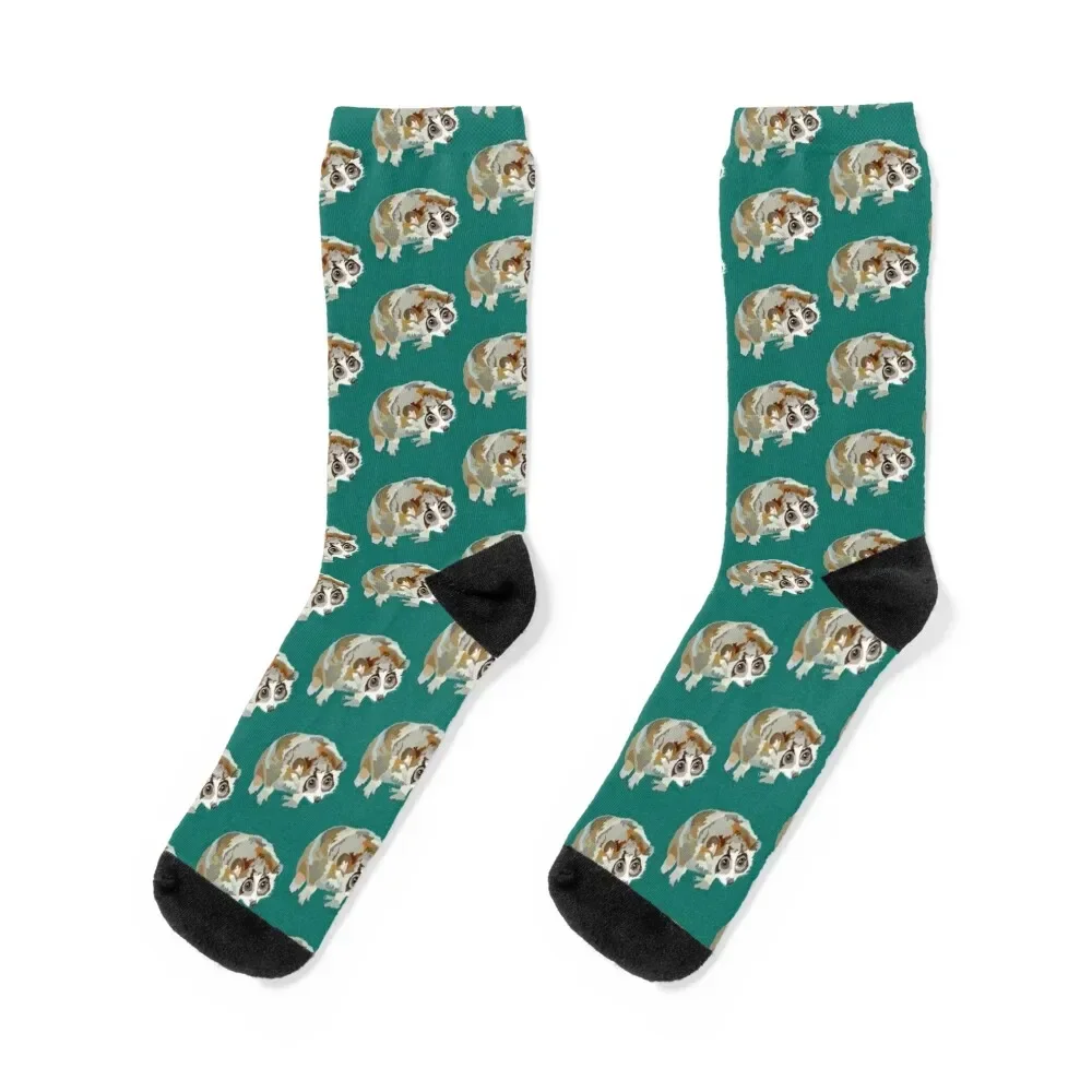 Pygmy Slow Loris Socks Toe sports christmass gift Hiking boots Wholesale Socks Women Men's