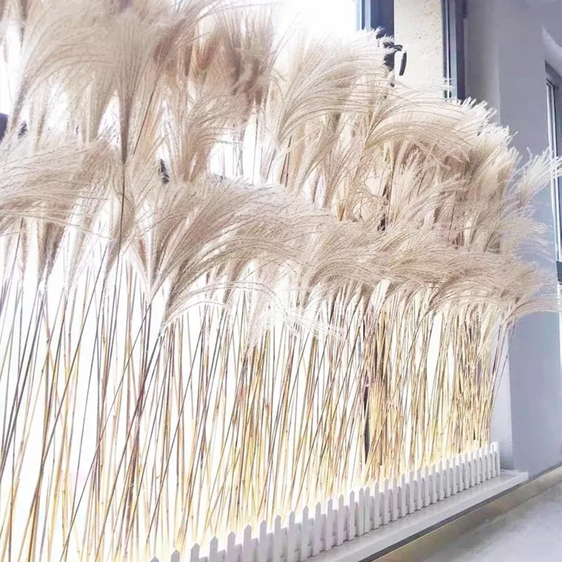 

Reed grass artificial flowers natural reed flowers dogtail grass indoor wedding photography props decoration fake flowers
