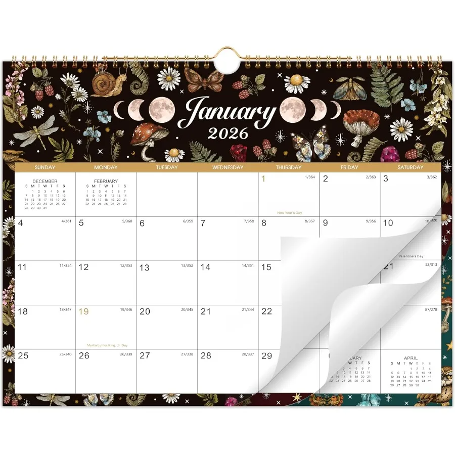 

20262027 Настенный календарь Настенный календарь на 18 месяцев от января 2026 июня. 2027 Петля для подвешивания из плотной бумаги премиум-класса размером 14,7 x 11,5 дюйма для дома