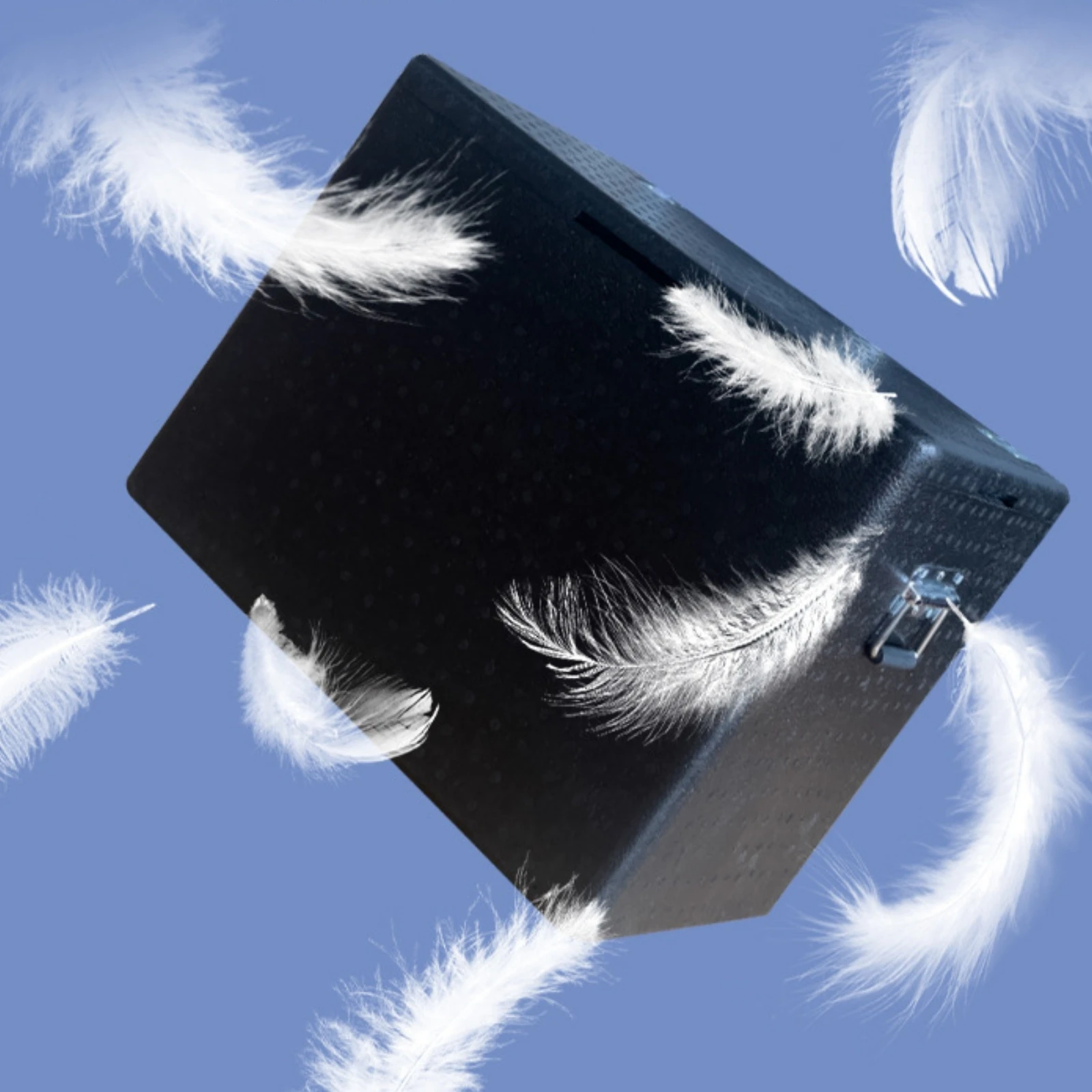 

Rectangular Insulated Foam Box Attached Lid Thermal Storage Case Sturdy Solution for Household Transfer and Storage