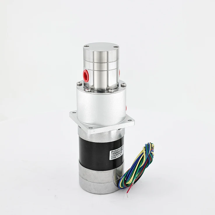 

Магнитный зубчатый насос из пищевой нержавеющей стали, не разборный и легко очищаемый стандарт в насосах