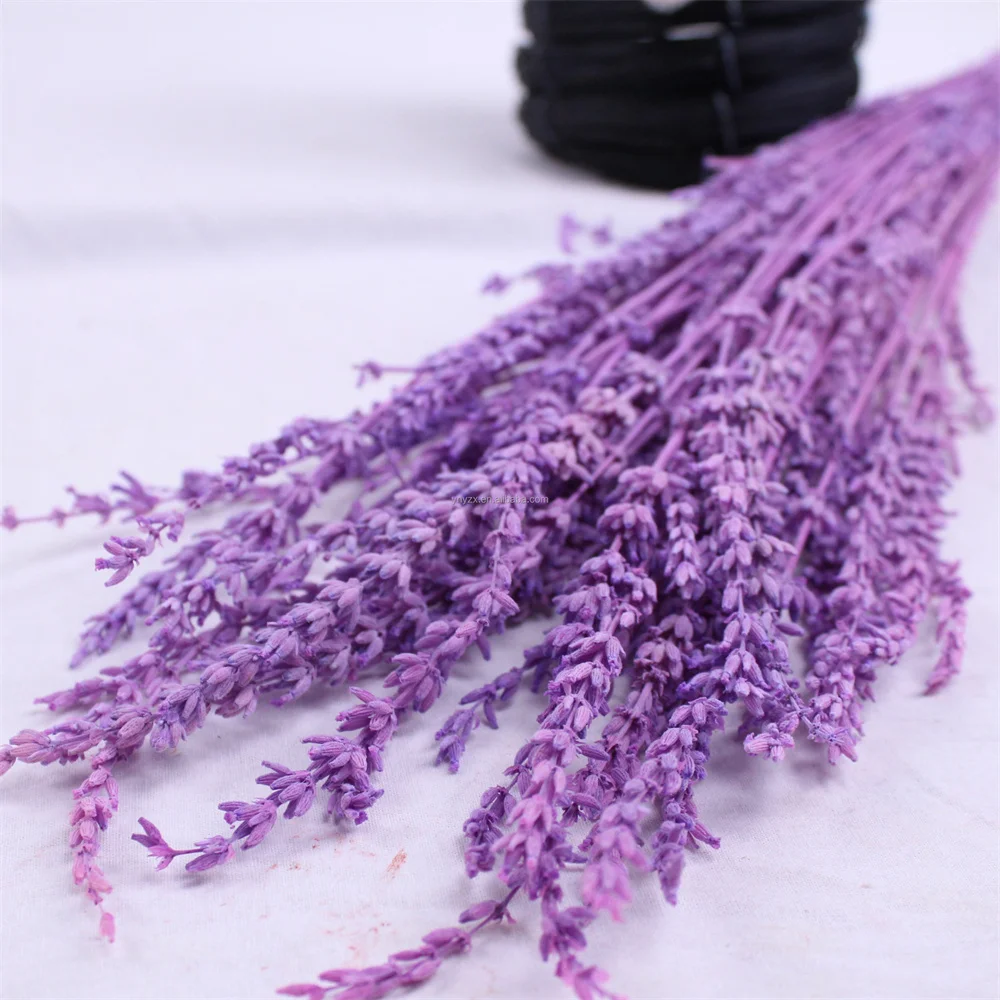 50g Real Natural Dried Flowers,Preserved Lavender Bouquet Natural Dried Flower for Wedding Party Decoration DIY Bridal Bouquet