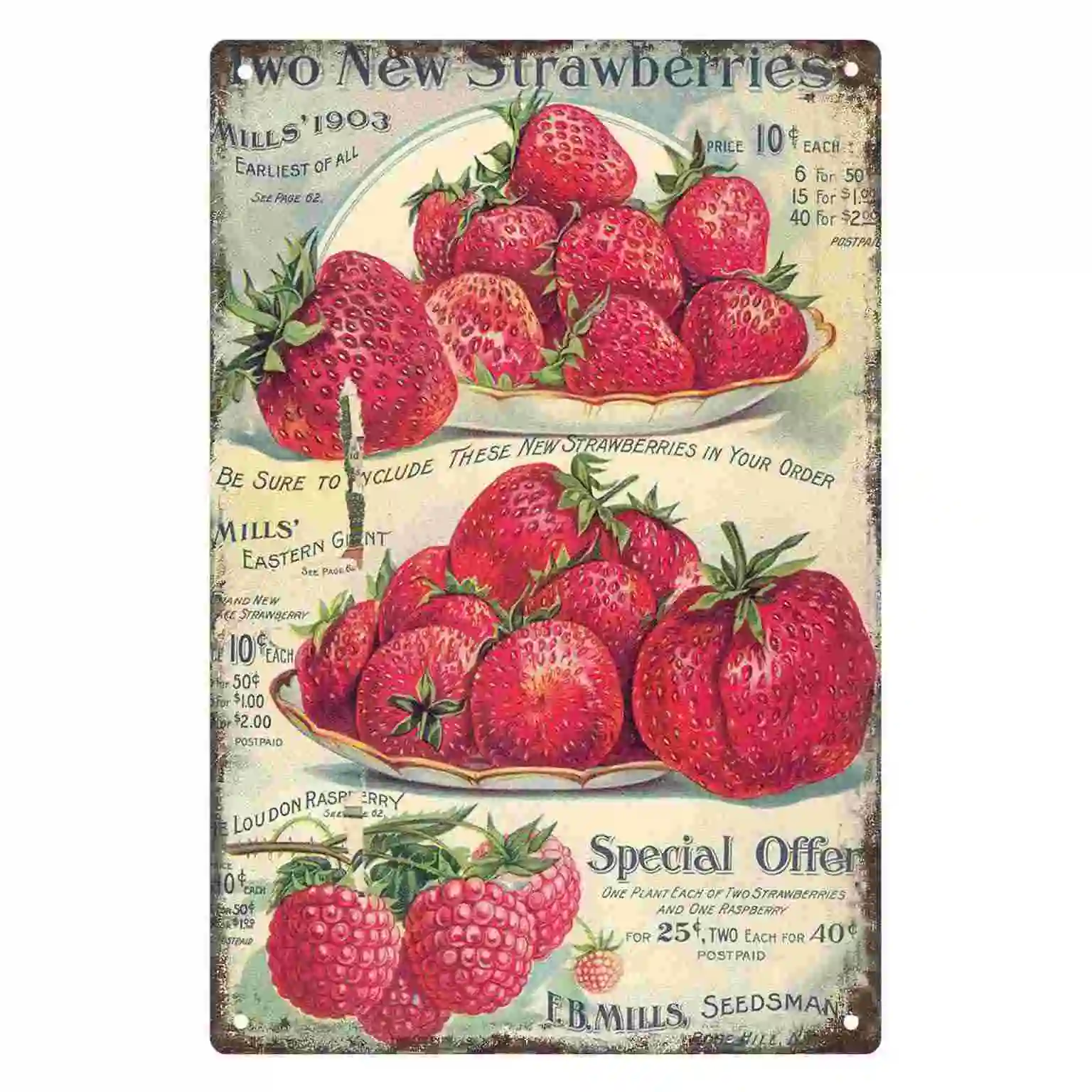 2D FLAT 1pc Vintage Strawberries and Raspberries Seed Advertisement Metal Wall Sign Decoration for Home Cafe Garage Bedroom