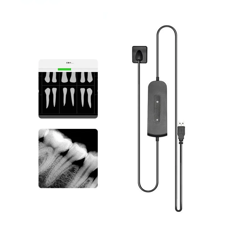 Odonto sem Galantia Recommends the Same Dental X-ray Sensor Fast Transmission Digital USB Connection Computer Imaging System