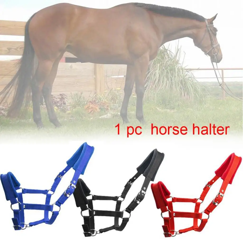 Premium Soft Thicken Cob Horse Halter Rein Equestrian Head Collar Protective
