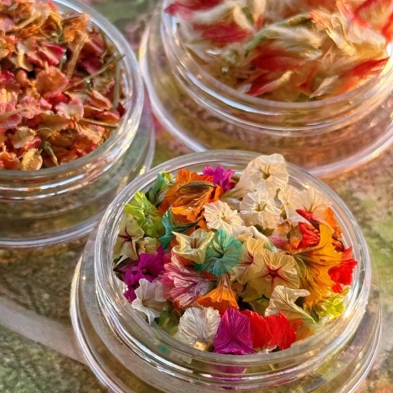 

1pcs Mini Nail Art Preserved Flowers with Natural Pressed Petals Trendy Minimalist Style Preserved Flowers with Colorful Petals