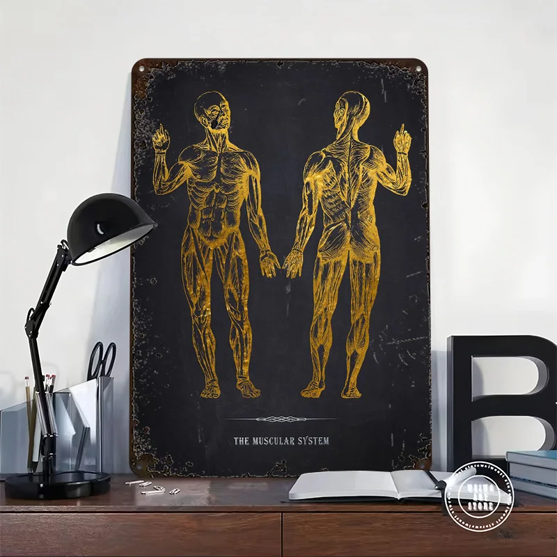 الذهب نظام العضلات تشريح القصدير تسجيل الجدار ملصق فني عناصر ديكور المنزل الفاخرة خمر علامات معدنية الرجعية لغرفة الديكور المنزل
