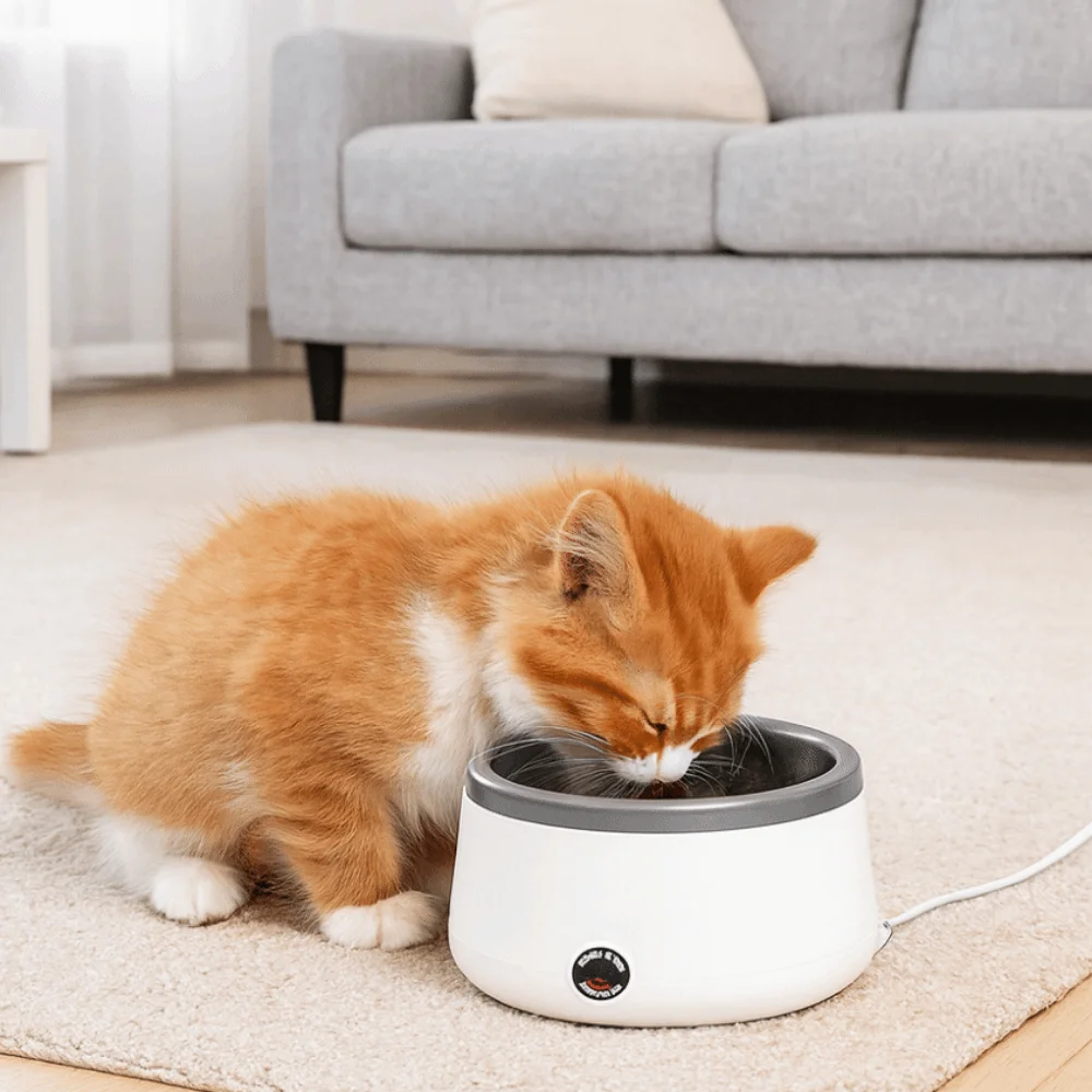 

Smart Stainless Steel Heating Dog Bowl Electric Ultra Quiet Heated Water Bowl Anti Bite Cable Cat Water Fountain Winter Season