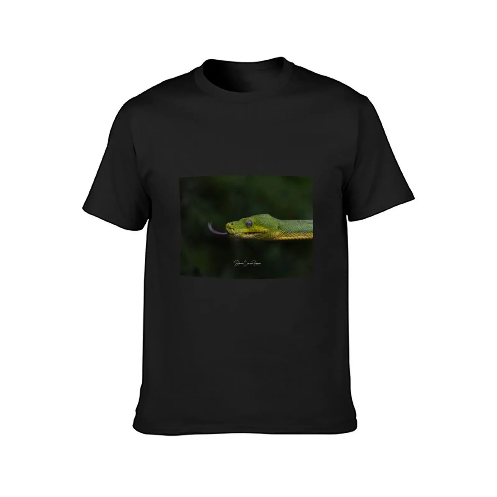 Green Tree Python T-Shirt plain cute clothes aesthetic clothes tshirts for men