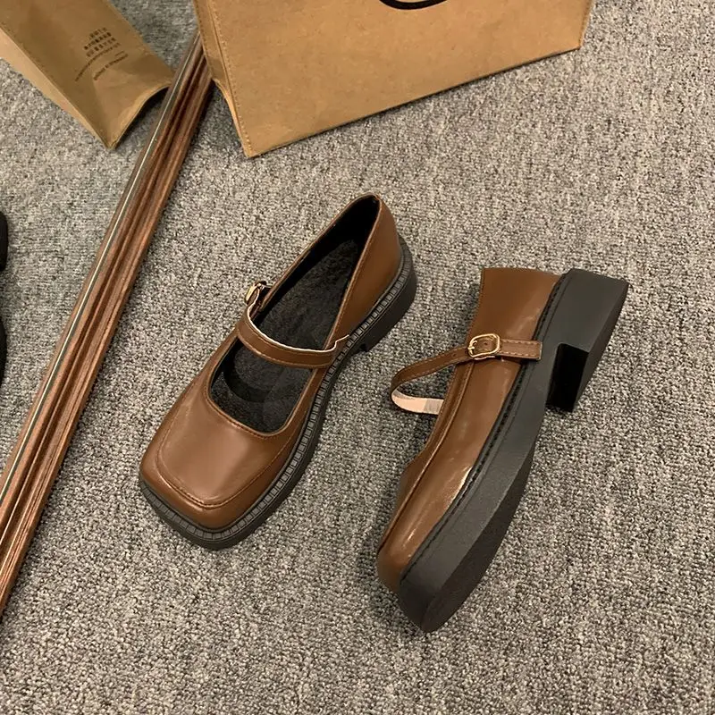 

Vintage Mary Jane Shoes Women 2025 Spring Summer Square Toe Chunky Heel Slip On Strap Loafers Versatile Comfortable