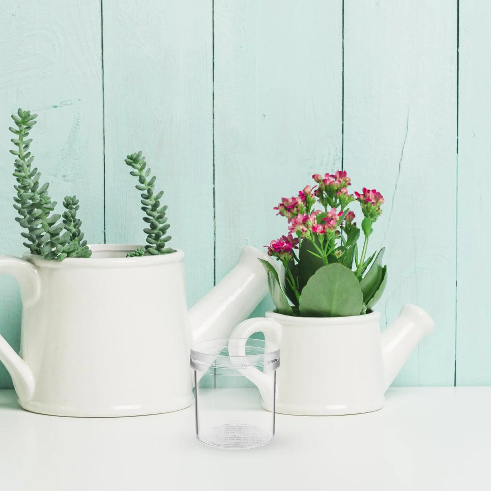 5 stücke Insekten Beobachtung Tasse Lupe Jar Für Kinder Experiment Tragbare Viewer Container Erkundung Box Für