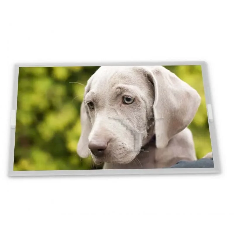 TCG057QVLCS-H50 TCG057VGLCS-H50 5.7 inch 640*480 Brand New LCD Panel