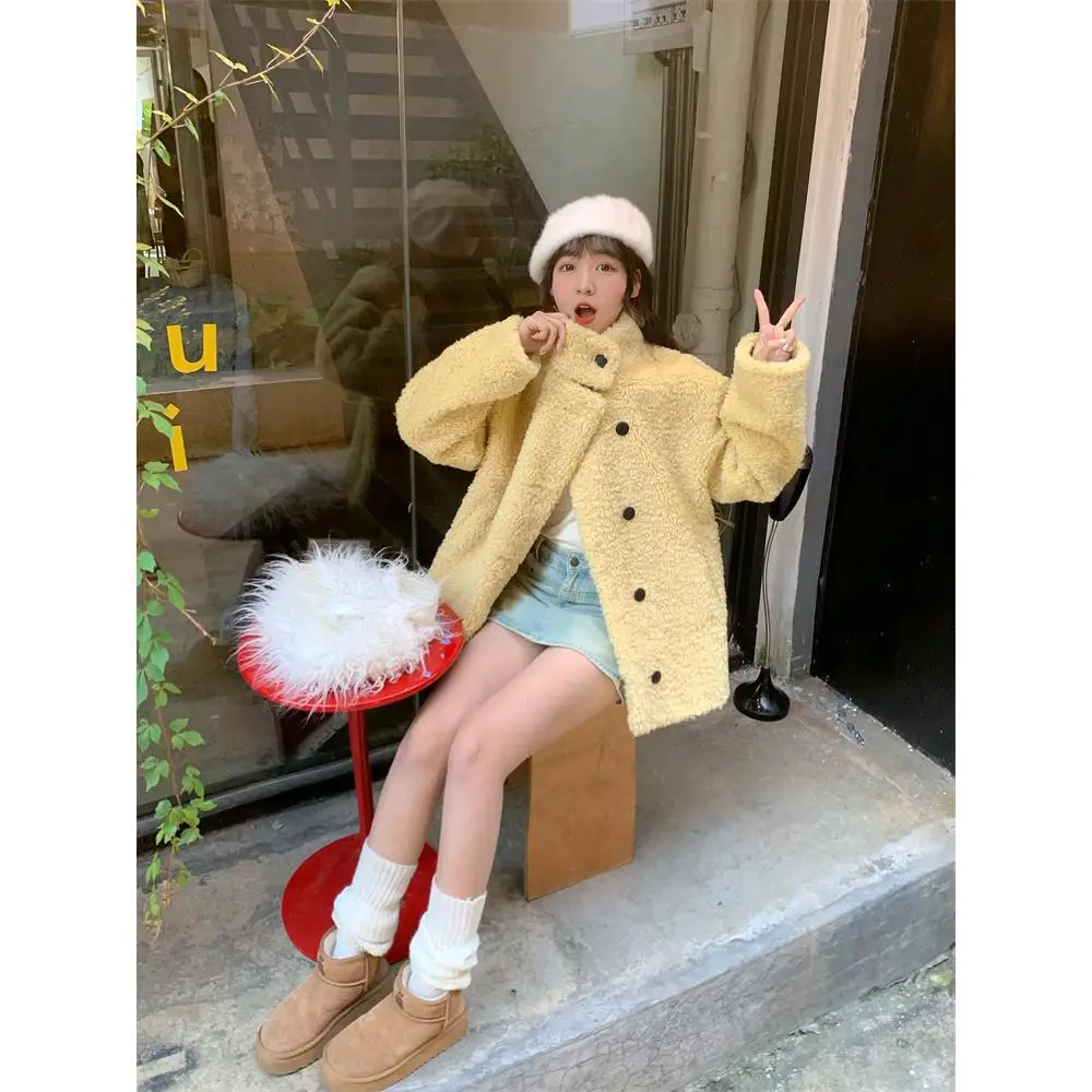 Cappotto invernale in pelliccia artificiale da donna in stile Instagram Colletto peloso Cappotto monopetto in pelliccia di visone femminile Cappotto minimalista in pelliccia ecologica da donna