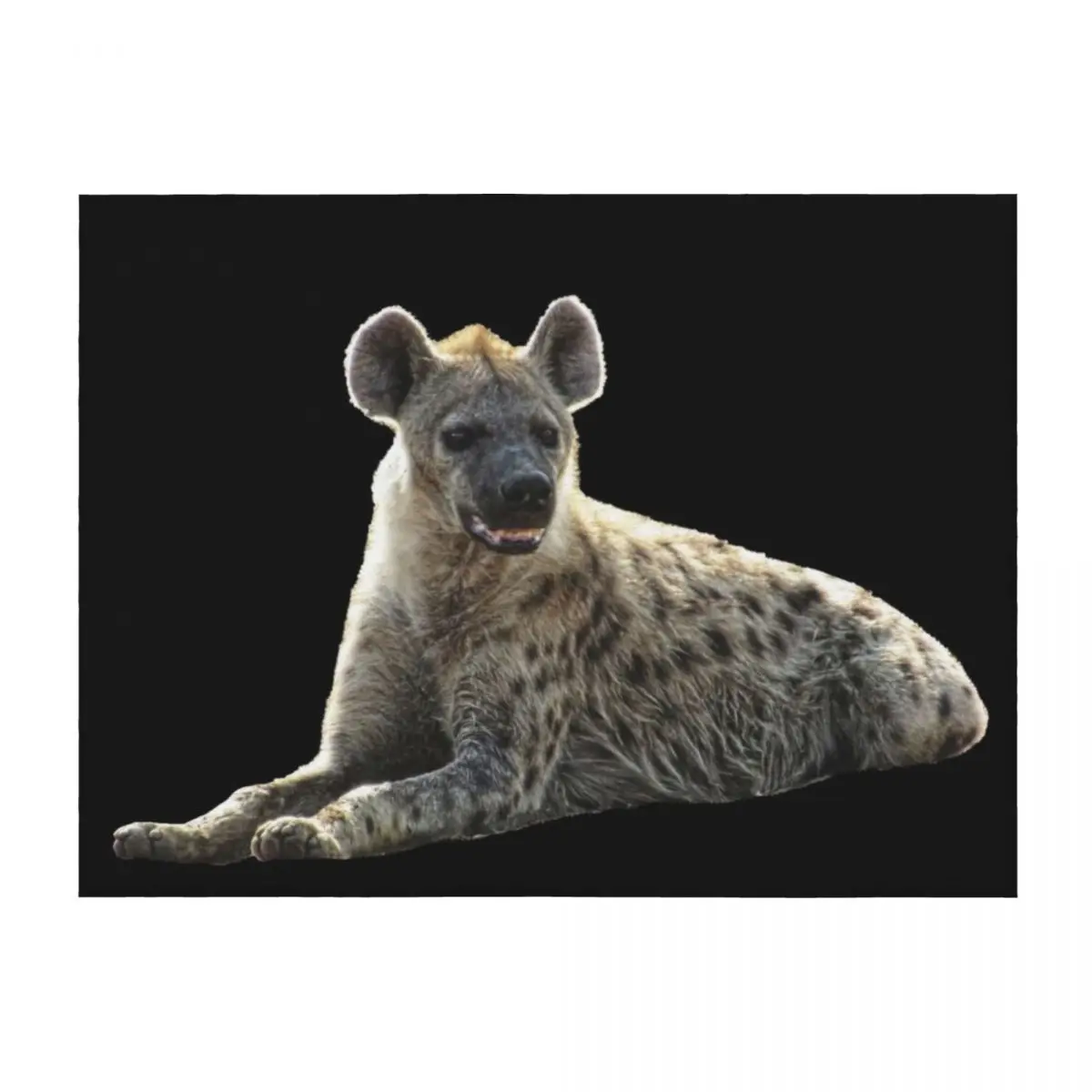 

Hyena in Kenya / Africa Throw Blanket blankets ands Sofas for winter Flannels Blankets